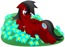 Size: 10800x7800 | Tagged: safe, artist:xniclord789x, oc, oc only, oc:ruby, absurd resolution, floppy ears, flower, kicking, pregnant, scar, simple background, transparent background