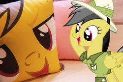 Size: 933x622 | Tagged: safe, daring do, g4, hilarious in hindsight, photo, pillow
