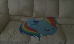 Size: 3646x2173 | Tagged: safe, artist:segagenesis4100, rainbow dash, pony, g4, couch, high res, irl, photo, ponies in real life, sleeping, vector