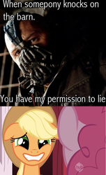 Size: 500x823 | Tagged: safe, applejack, g4, bane, comic, dialogue, lies, lots of construction, photo, the dark knight rises