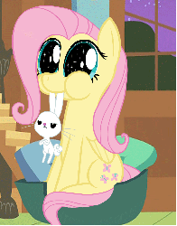 Size: 777x991 | Tagged: safe, artist:keanno, angel bunny, fluttershy, pegasus, pony, rabbit, g4, :t, animal, animated, annoyed, chewing, crossed arms, cute, dilated pupils, female, frown, glare, mare, nom, puffy cheeks, shyabetes, sitting, smiling, sparkles, starry eyes, unamused, wat, window, wingding eyes