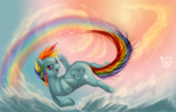 Size: 1079x692 | Tagged: dead source, safe, artist:php154, rainbow dash, pegasus, pony, g4, duo