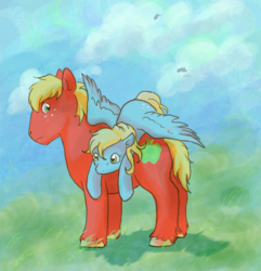 Size: 671x696 | Tagged: safe, artist:paintedyoko, big macintosh, derpy hooves, earth pony, pony, g4, male, stallion