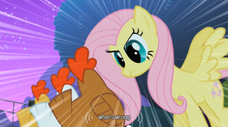 Size: 640x355 | Tagged: safe, screencap, fluttershy, chicken, g4, youtube caption
