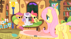 Size: 640x355 | Tagged: safe, screencap, apple bloom, fluttershy, scootaloo, sweetie belle, g4, youtube caption