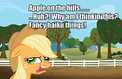 Size: 1219x797 | Tagged: safe, applejack, g4, derp, fancy, haiku, random