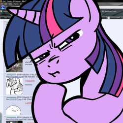 Size: 945x945 | Tagged: safe, artist:megasweet, twilight sparkle, g4, /co/, 4chan, fourth wall, reaction image