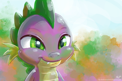 Size: 1200x800 | Tagged: safe, artist:kp-shadowsquirrel, spike, g4, male, solo