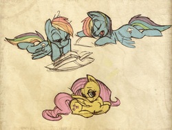 Size: 1314x991 | Tagged: safe, artist:tanya roberts, fluttershy, rainbow dash, g4, book, reading, sleeping