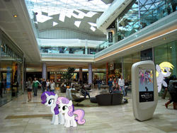 Size: 1600x1200 | Tagged: safe, artist:biodegradablebox, applejack, derpy hooves, pinkie pie, rainbow dash, rarity, sweetie belle, twilight sparkle, human, pony, g4, irl, irl human, mall, movie poster, parody, photo, ponies in real life, saving private ryan, vector