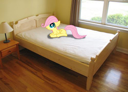 Size: 500x358 | Tagged: safe, artist:1vonreich123, fluttershy, pony, g4, bed, end table, filly, irl, lamp, photo, ponies in real life