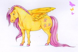 Size: 2514x1689 | Tagged: safe, artist:anniehyena, fluttershy, g4, realistic, traditional art