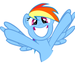 Size: 800x704 | Tagged: safe, artist:haloreplicas, rainbow dash, g4, duo, irrational exuberance, simple background, transparent background, vector