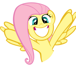 Size: 800x704 | Tagged: safe, artist:haloreplicas, fluttershy, g4, duo, irrational exuberance, simple background, transparent background, vector