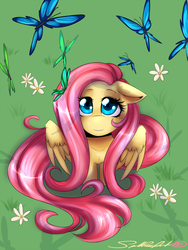 Size: 1600x2133 | Tagged: safe, artist:spittfireart, fluttershy, pony, g4, female, solo