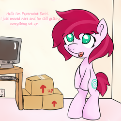 Size: 1100x1100 | Tagged: safe, artist:ask-candyswirl, oc, oc only, pony, bipedal