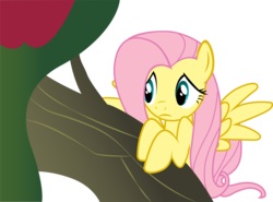 Size: 6014x4448 | Tagged: safe, artist:mowza2k2, fluttershy, pegasus, pony, the return of harmony, absurd resolution, female, mare, simple background, transparent background, tree, vector