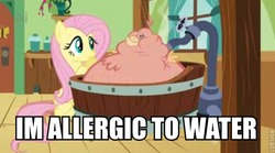 Size: 604x337 | Tagged: safe, edit, edited screencap, screencap, fluttershy, philomena, phoenix, a bird in the hoof, g4, bath, image macro, inflation, wtf