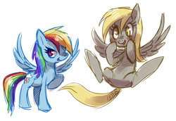 Size: 1280x879 | Tagged: safe, artist:purplekecleon, derpy hooves, rainbow dash, pegasus, pony, g4, duo, female, mare