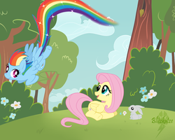 Size: 2500x2000 | Tagged: safe, artist:blitzkatze, fluttershy, rainbow dash, g4, high res