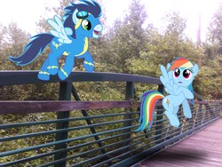 Size: 2048x1536 | Tagged: safe, artist:tokkazutara1164, rainbow dash, soarin', pony, g4, bridge, female, irl, male, photo, ponies in real life, ship:soarindash, shipping, straight, vector, wonderbolts uniform