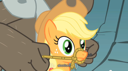 Size: 640x355 | Tagged: safe, screencap, applejack, diamond dog, earth pony, pony, a dog and pony show, g4, bridle, rope, tack, youtube caption