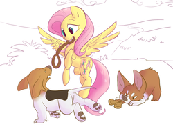 Size: 1177x880 | Tagged: safe, artist:php27, fluttershy, corgi, dog, pegasus, pony, g4, butt, mouth hold, paw pads, plot