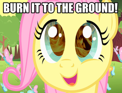 Size: 944x718 | Tagged: safe, fluttershy, butterfly, g4, fire, image macro