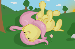 Size: 1129x745 | Tagged: safe, artist:fribox, fluttershy, pegasus, pony, g4, eyes closed, female, folded wings, grass, horses doing horse things, mare, on back, open mouth, outdoors, rolling, smiling, solo, wings