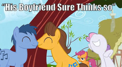 Size: 500x276 | Tagged: safe, edit, edited screencap, screencap, blues, caramel, noteworthy, scootaloo, sweetie belle, pegasus, pony, unicorn, g4, hearts and hooves day (episode), boop, caraworthy, eyes closed, female, filly, frown, gay, glare, grin, hearts and hooves day, male, nose wrinkle, noseboop, nuzzling, shipping, smiling, stallion, the perfect stallion, unamused