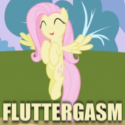 Size: 540x540 | Tagged: safe, edit, edited screencap, screencap, fluttershy, pegasus, pony, friendship is magic, caption, cute, female, fluttergasm, mare, reaction image, shyabetes, solo, squee