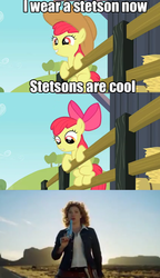Size: 500x870 | Tagged: safe, apple bloom, g4, comic, cowboy hat, crossover, doctor who, hat, river song (doctor who), stetson, unwarranted violence against hats