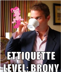 Size: 471x557 | Tagged: safe, pinkie pie, human, g4, classy, etiquette, image macro, meme, pinky out, pun