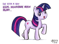 Size: 800x600 | Tagged: safe, artist:thebourgyman, twilight sparkle, pony, g4, female, solo