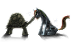 Size: 1280x755 | Tagged: safe, artist:slawomiro, rainbow dash, tank, g4, bandage