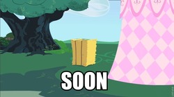 Size: 855x479 | Tagged: safe, edit, edited screencap, screencap, gummy, pinkie pie, g4, my little pony: friendship is magic, party of one, caption, hay bale, image macro, soon