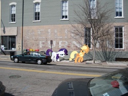 Size: 2048x1536 | Tagged: safe, artist:pizzalover53, applejack, rarity, pony, g4, car, irl, photo, ponies in real life, sidewalk, street, vector