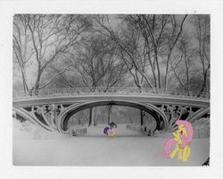 Size: 615x492 | Tagged: safe, artist:sc00taloo, fluttershy, rainbow dash, twilight sparkle, pony, g4, bridge, irl, photo, ponies in real life, winter