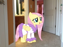 Size: 3264x2448 | Tagged: safe, artist:serindo, fluttershy, pony, g4, bathrobe, bathroom, clothes, hallway, high res, irl, photo, ponies in real life, robe, wet mane