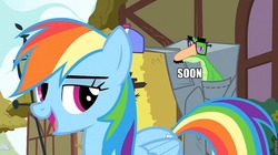 Size: 960x539 | Tagged: safe, edit, edited screencap, screencap, gummy, pinkie pie, rainbow dash, g4, party of one, caption, glasses, hay bale, image macro, mask, soon