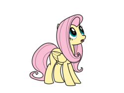 Size: 1600x1200 | Tagged: safe, artist:datbrass, fluttershy, g4, simple background, transparent background, vector