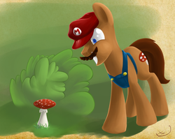 Size: 919x731 | Tagged: safe, artist:sharpy, earth pony, pony, clothes, male, mario, mushroom, nintendo, ponified, rapeface, solo, super mario bros., super mushroom