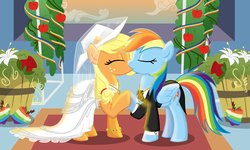 Size: 2500x1500 | Tagged: safe, artist:sketchyjackie, applejack, rainbow dash, earth pony, pegasus, pony, g4, accessory, applebetes, clothes, cowboy hat, cufflinks, cute, dashabetes, dress, duo, eyes closed, female, flower, freckles, hat, holding hooves, jackabetes, jewelry, kiss on the lips, kissing, lesbian, lesbian wedding, mare, marriage, ship:appledash, shipping, show accurate, suit, sweet dreams fuel, tailcoat, tuxedo, veil, wedding, wedding dress