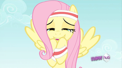 Size: 1920x1080 | Tagged: safe, screencap, fluttershy, pegasus, pony, g4, hurricane fluttershy, season 2, female, hub logo, mare, out of context, solo, squee, wallpaper