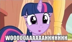 Size: 406x238 | Tagged: safe, twilight sparkle, pony, g4, caption, female, image macro, meme, reaction image, solo, surprised