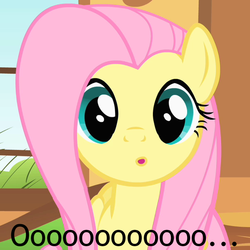 Size: 600x600 | Tagged: safe, edit, edited screencap, screencap, fluttershy, pony, g4, :o, caption, cute, female, image macro, looking at you, reaction image, solo