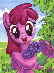 Size: 604x811 | Tagged: safe, artist:choedan-kal, berry punch, berryshine, earth pony, pony, g4, female, grapes, mare, traditional art