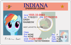 Size: 466x294 | Tagged: safe, artist:totallynotabronyfim, rainbow dash, g4, id card, license