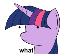 Size: 2000x1500 | Tagged: artist needed, safe, twilight sparkle, g4, dot eyes, reaction image, wat