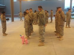 Size: 2048x1536 | Tagged: safe, pinkie pie (g3), earth pony, human, pony, unicorn, g3, army, irl, irl human, military, photo, piñata, united states